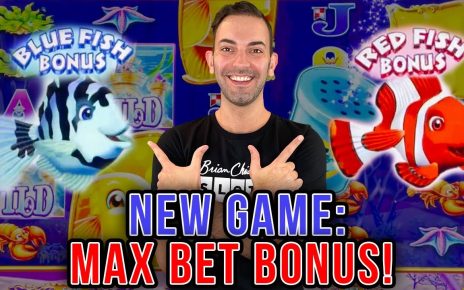 NEW GAME ➥ GOLD FISH Feeding Time! MAX BET ?  Graton Casino