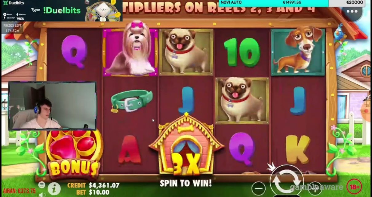 Simi dobio 8000$? na dog house (online casino)