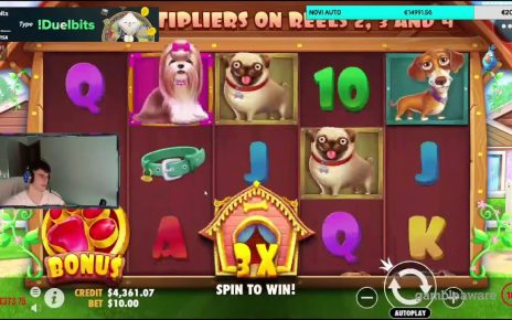 Simi dobio 8000$? na dog house (online casino)