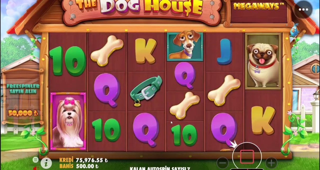 The Dog House – Full Ekran Wild , Yapıştır Gelsin.. #slot  #thedoghouse  #pragmaticplay #casino