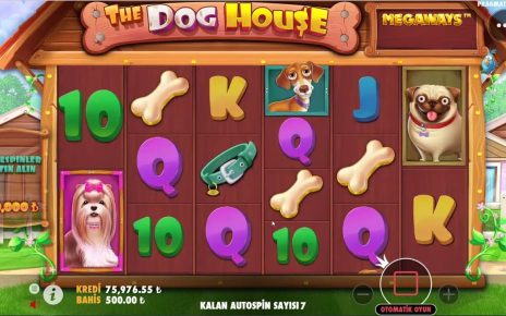 The Dog House – Full Ekran Wild , Yapıştır Gelsin.. #slot  #thedoghouse  #pragmaticplay #casino