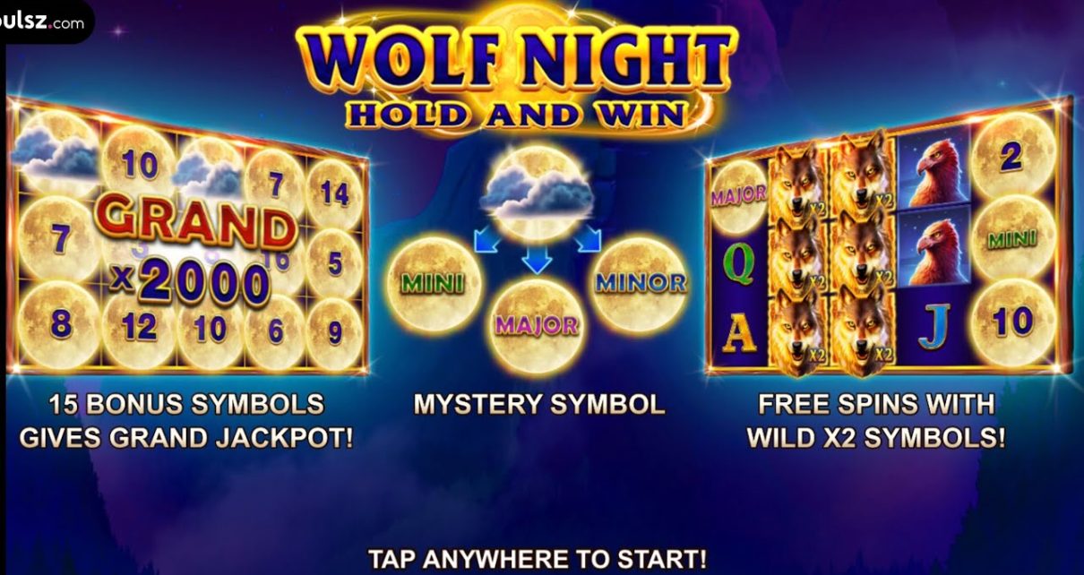 ground I love Wolf nighttime on Pulsz online casino!  Huge Major Win ?