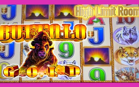 Buffffffallllo!!! Buffalo Gold Slot play at the Casino ?