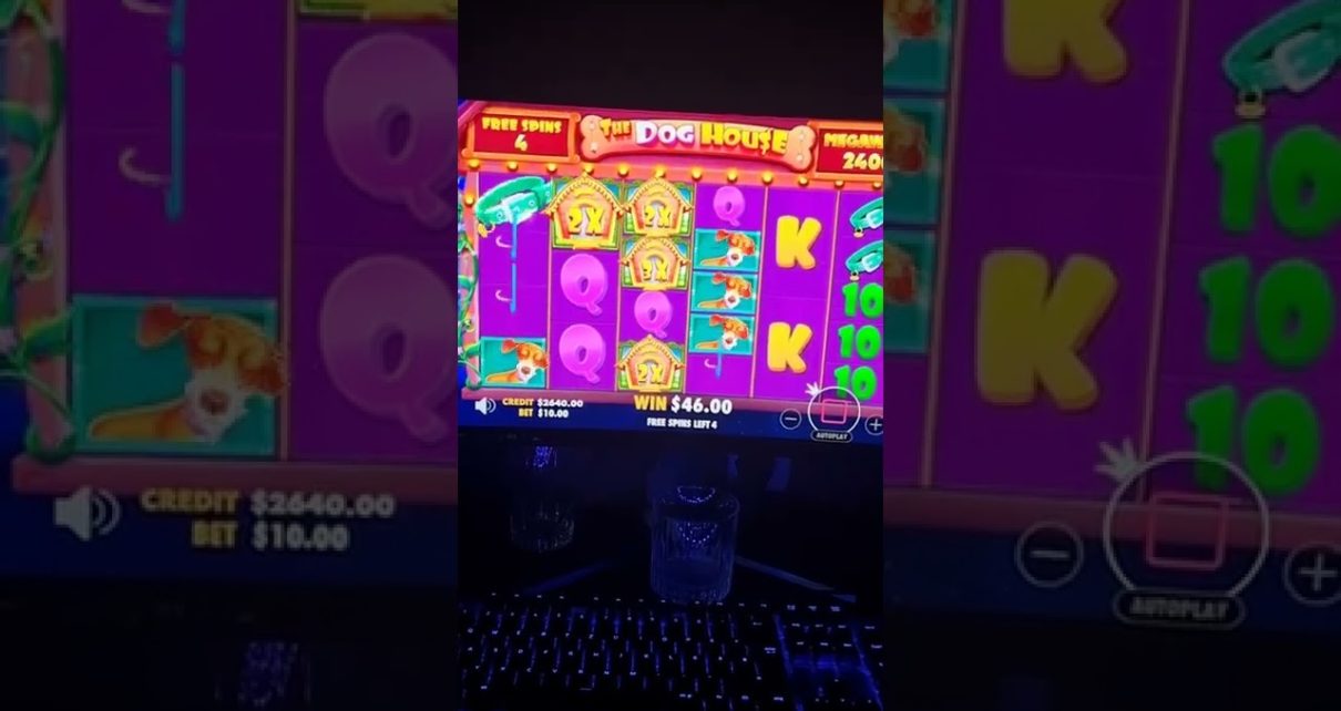 Dog House freegames – Online Casino Slots Jackpot #shorts