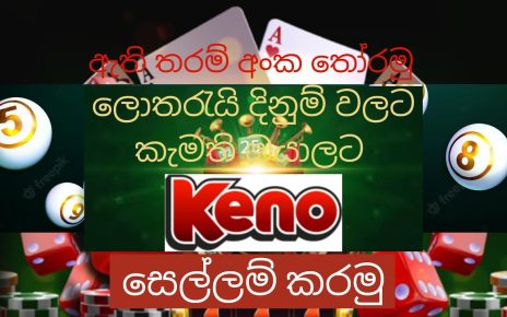 How to play keno sinhala/ 1xbet online casino sinhala