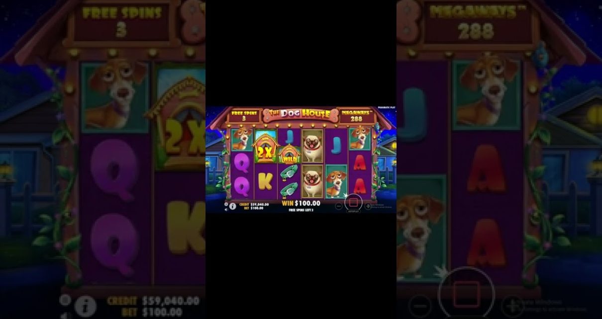 THE DOG HOUSE MEGAWAYS???BIG WIN ONLINE CASINO SLOT