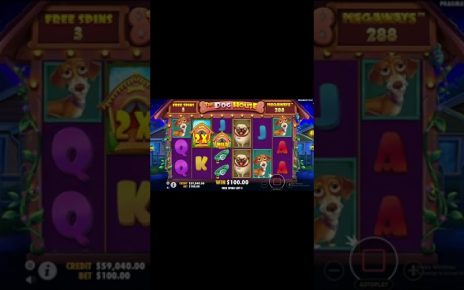 THE DOG HOUSE MEGAWAYS???BIG WIN ONLINE CASINO SLOT