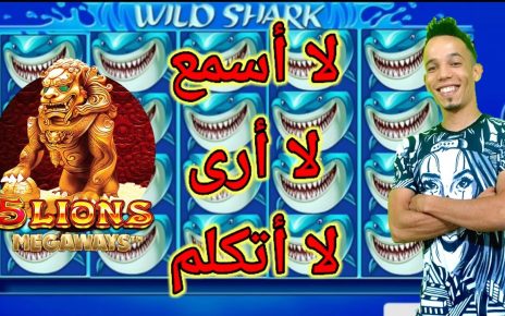 Wild Shark Max Win MED SBH live casino عكعك يا قصي