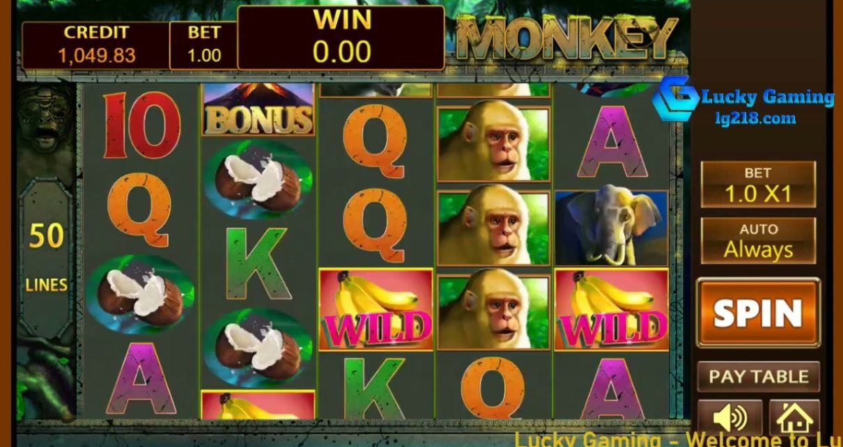 『Lucky Gaming』MONKEY Dragon Tiger Online Betting Tiger Online Casino Web:lg218.com