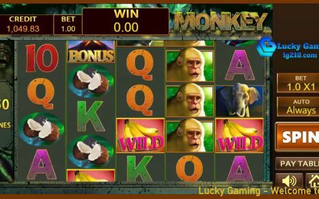 『Lucky Gaming』MONKEY#PHP Dragon Tiger Online Betting#Dragon Tiger Online Casino Web:lg218.com