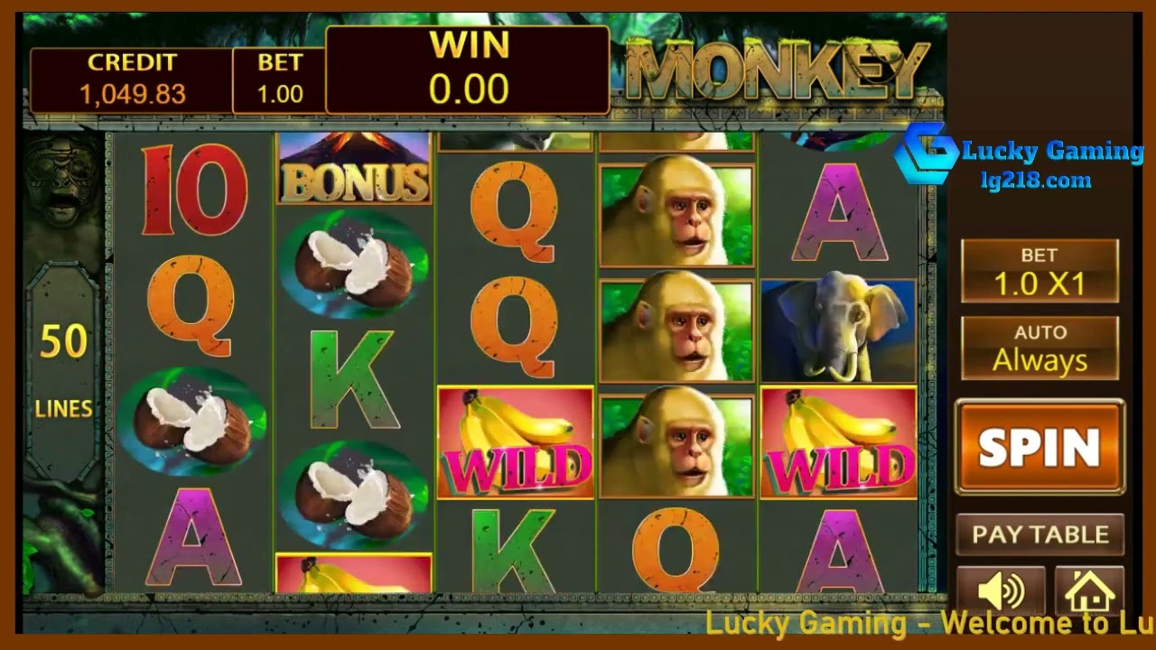 『Lucky Gaming』MONKEY#PHP Dragon Tiger Online Betting#Dragon Tiger Online Casino Web:lg218.com