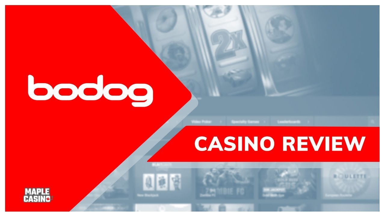 Check Out This Review of the Bodog Online Casino! | An Official Maple Casino Review 2020 ?