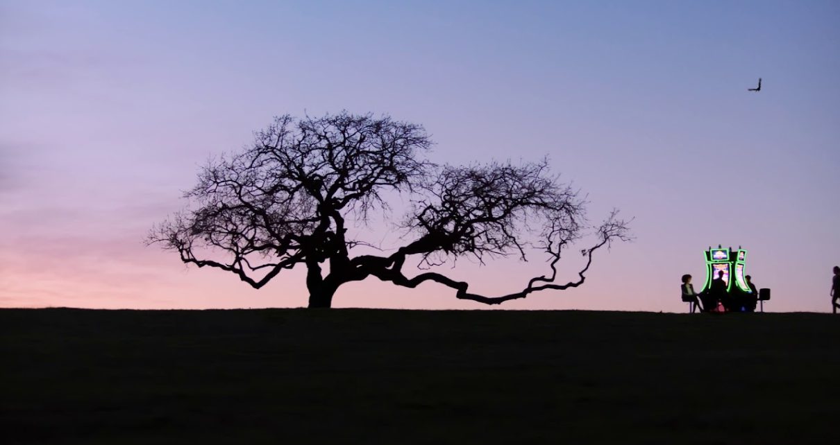 Chumash Casino Resort – Tree Chumash Casino Resort – Tree