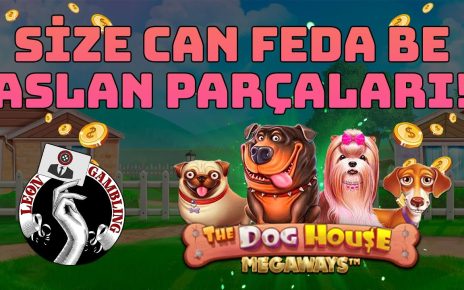 #DogHouseMegaways'te Efsane Başlangıçla Yolumuzu Bulduk! – Leon Gambling #slot #casino #slotizle