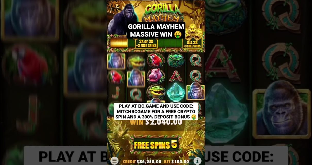 Gorilla Mayhem Bonus Feature Massive Win ? – Online Casino Slots