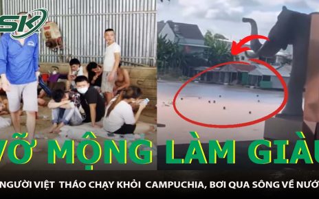 Hàng Chục Người Việt Cùng Tháo Chạy Khỏi Casino Ở Campuchia, Bơi Qua Sông Về Nước | SKĐS