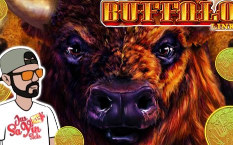 It’s Buffalo Link Slot Play Live at the Casino! ? Bufffffffalo ???