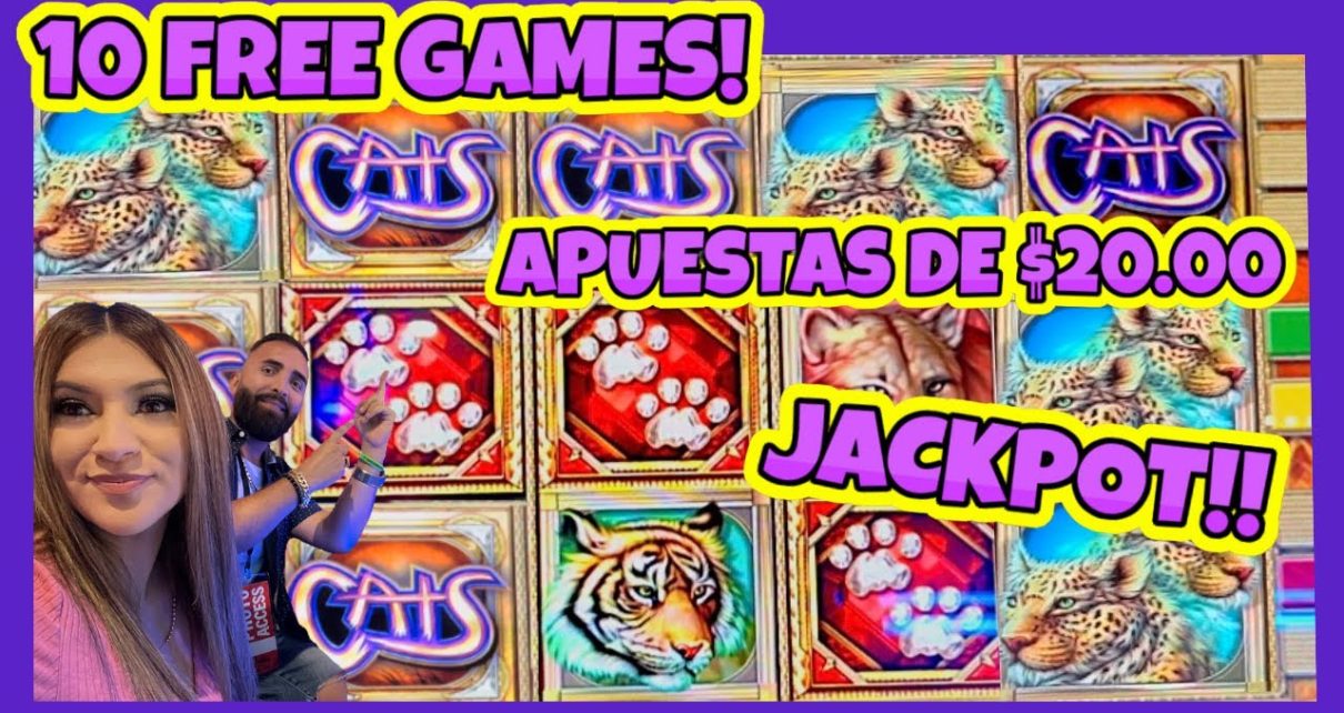 ? MASIVA LINEA DE TIGRES PAGO UN JACKPOT EN LA MÁQUINA DE CATS