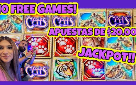 ? MASIVA LINEA DE TIGRES PAGO UN JACKPOT EN LA MÁQUINA DE CATS #ballyscasino