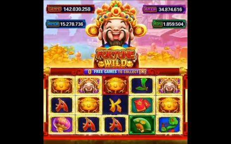 ONLINE CASINO FORTUNE WILD SLOTS