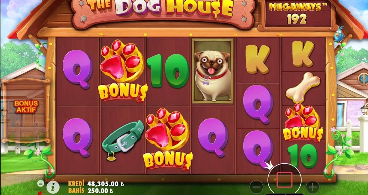 The Dog House – 5 Bonus Geldi Neler Oluyor ? Big Win..