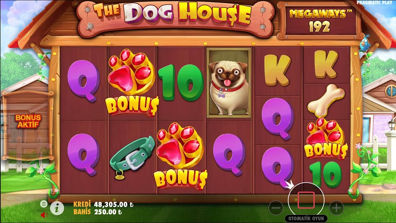 The Dog House - 5 Bonus Geldi Neler Oluyor ? Big Win.. #casino #slot #pragmaticplay