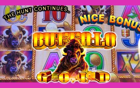 The Hunt… Buffalo Gold Slot Play ??‍♂️ Live slot play at Casino ?