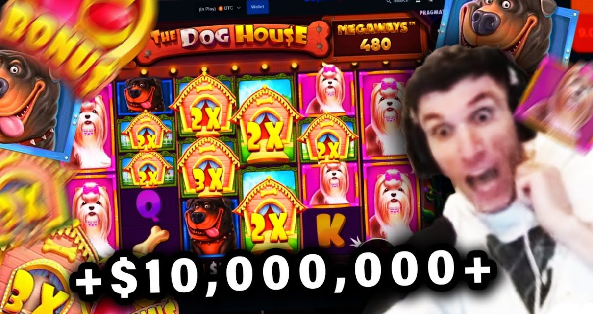 Trainwreckstv TOP 11 WINS from ,000,000+ Stream (Dog House PAYS)