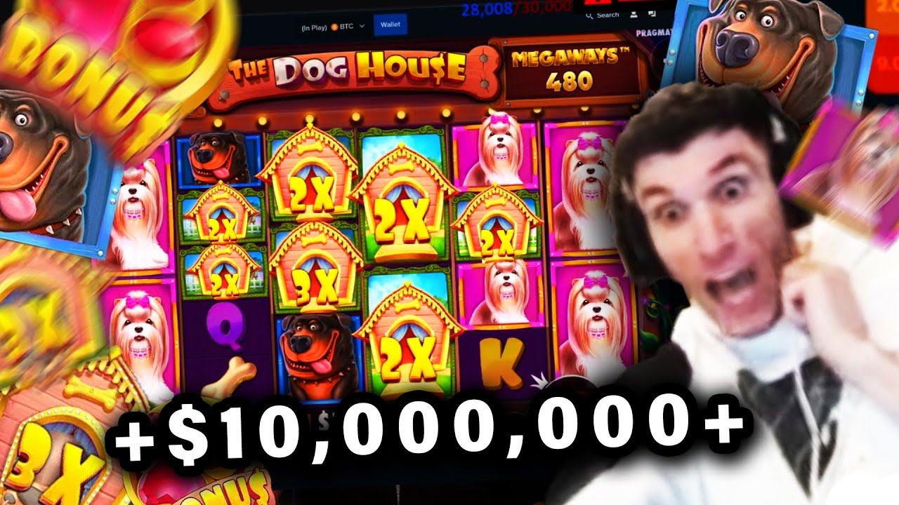 Trainwreckstv TOP 11 WINS from $10,000,000+ Stream (Dog House PAYS)