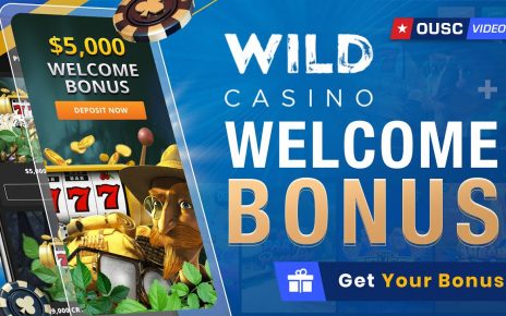 Wild Casino Welcome Bonus Review [Pros & Cons]