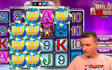 Wild Flower Slot nice Win im Online Casino (Big Time Gaming)