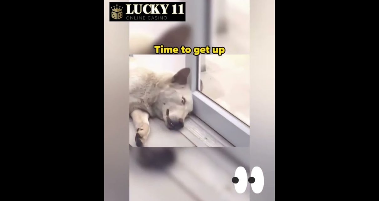 【Lucky11 Online Casino】The Trouble Makers ??