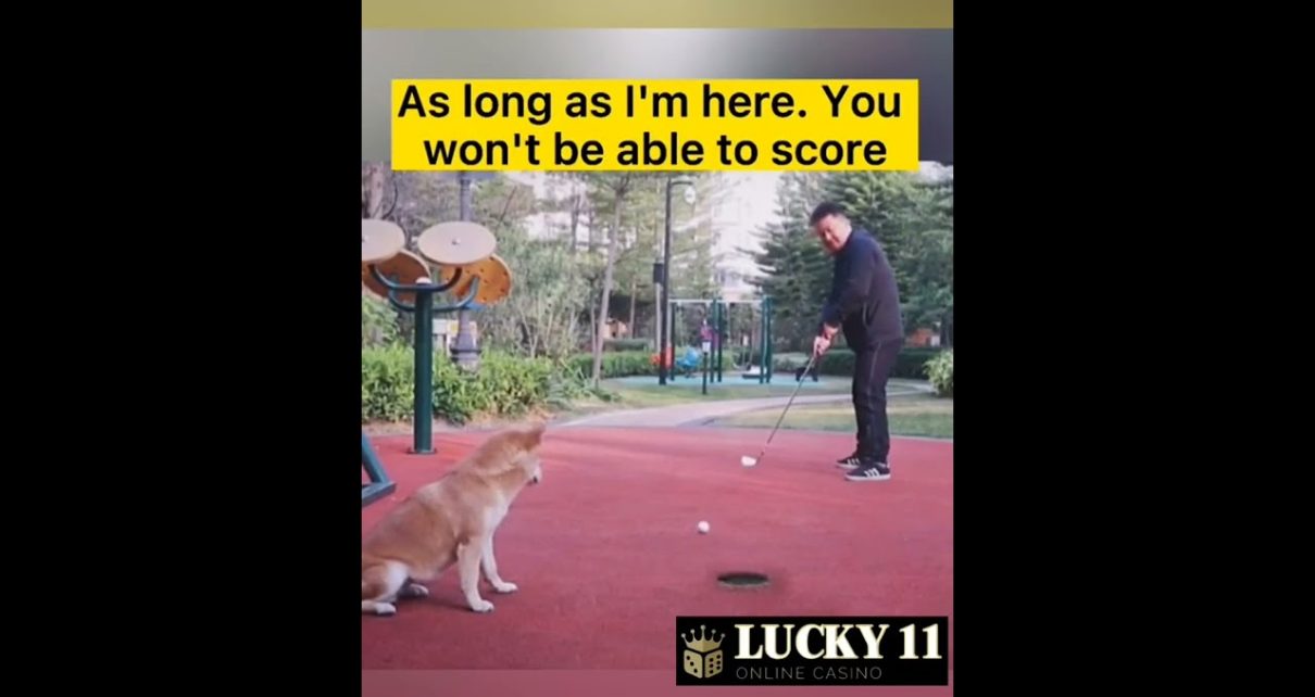 【Lucky11 Online Casino】You won't be able to score ??