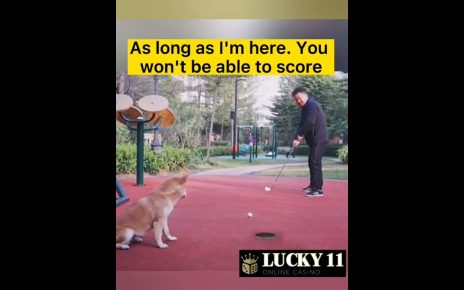 【Lucky11 Online Casino】You won't be able to score ??