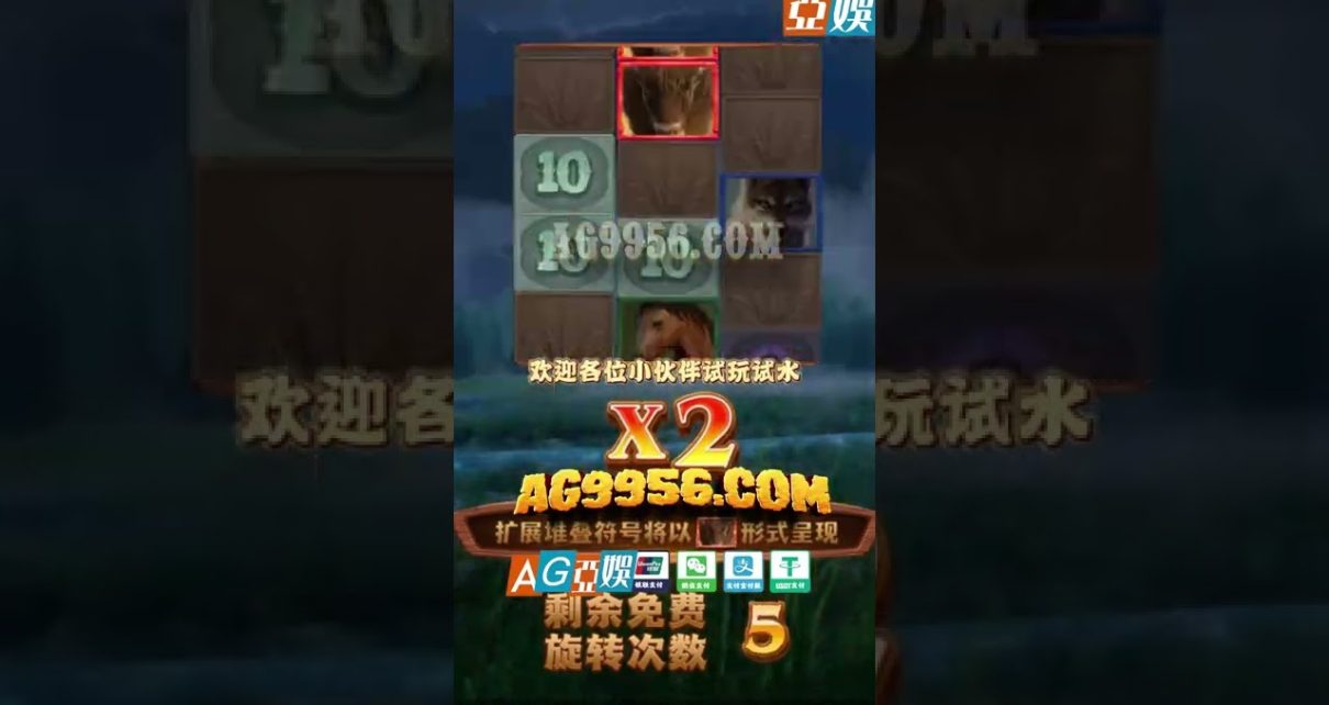 美洲野牛 Buffalo Win PG电子｜PG slot machine｜online casino电子