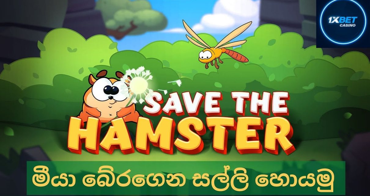 1xbet sinhala preserve the hamster online casino game sinhala