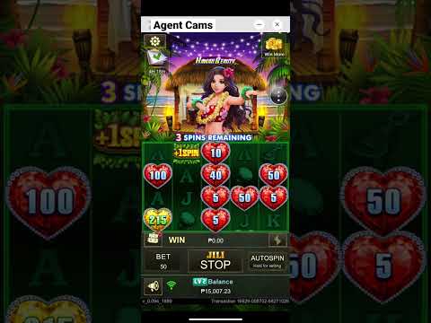 Agent Cams | Hawaii Beauty | Online Casino