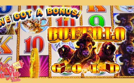 Buffalo Gold Slot Bonus! Live slot Play at Casino ?