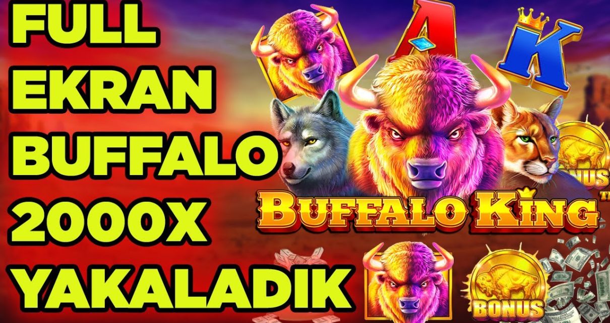 BuffaloKing l Daha İyisi Yok , Kızgın Boğalar Bizimdir #casino #slot #pragmaticplay #slotoyunları