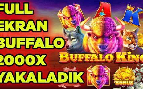 BuffaloKing l Daha İyisi Yok , Kızgın Boğalar Bizimdir #casino #slot #pragmaticplay #slotoyunları