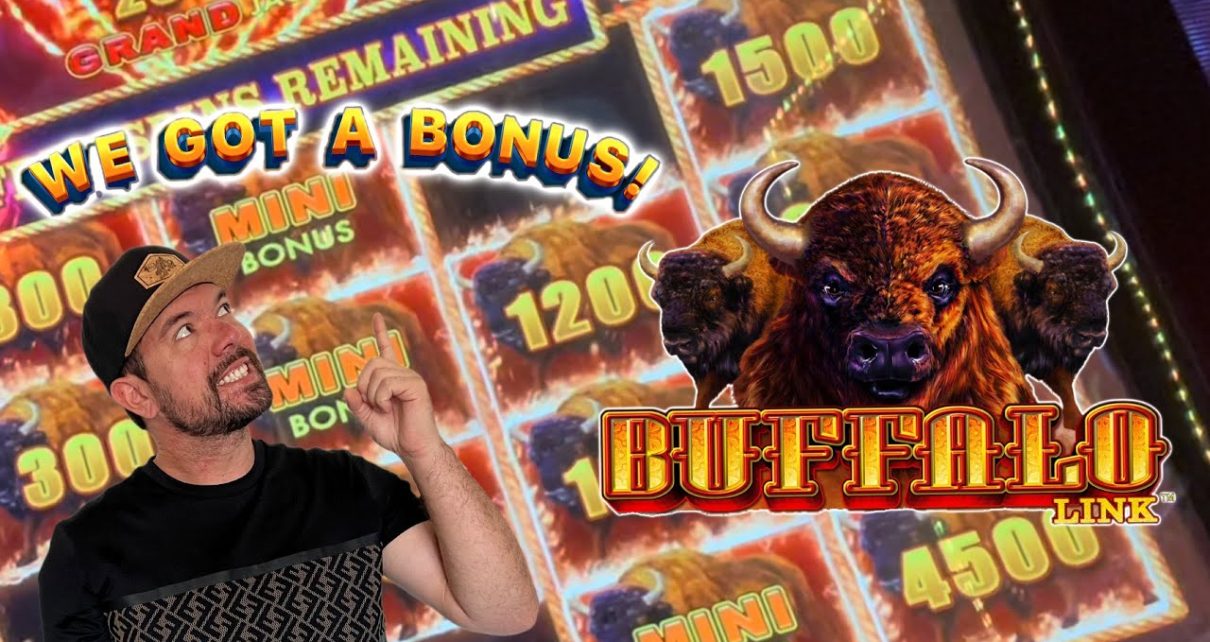 Chasing Buffalo! Buffalo Link Slot | Slot Videos