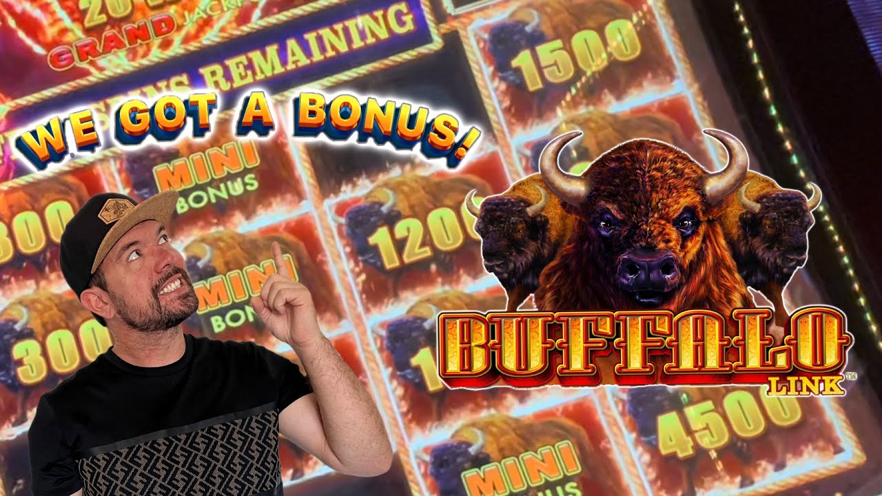 Chasing Buffalo! Buffalo Link Slot | Slot Videos