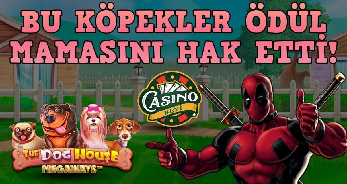 #DogHouseMegaways'te Ne Dilediysek Oldu! – Casino Beyi #slot #casino #slotoyunları #pragmatic