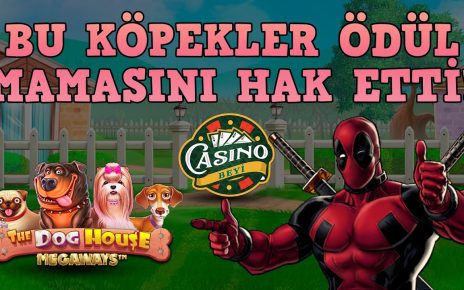 #DogHouseMegaways'te Ne Dilediysek Oldu! – Casino Beyi #slot #casino #slotoyunları #pragmatic