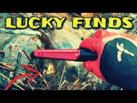 Hidden lucky finds in the creek!  Some Casino participant hid it for good luck, I found it!