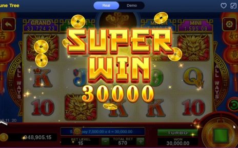 Online Casino PH for Fortune tree players