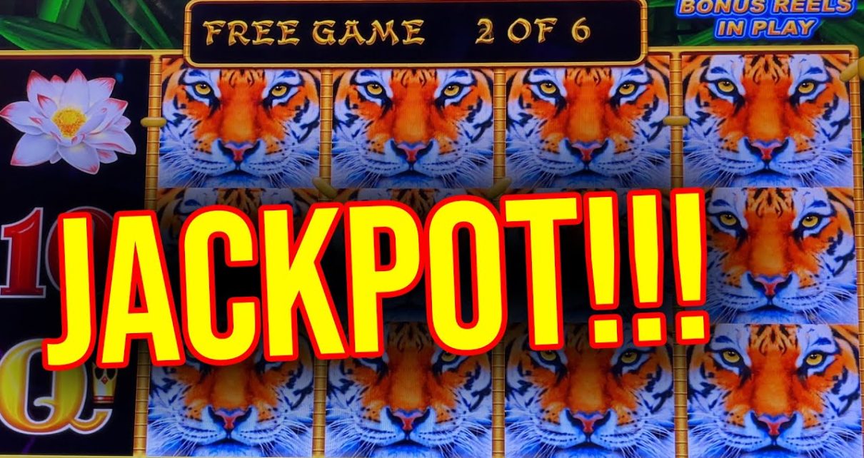 SARAH HITS A JACKPOT HANDPAY!!! Lightning Link Slot Machine