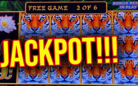 SARAH HITS A JACKPOT HANDPAY!!! Lightning Link Slot Machine