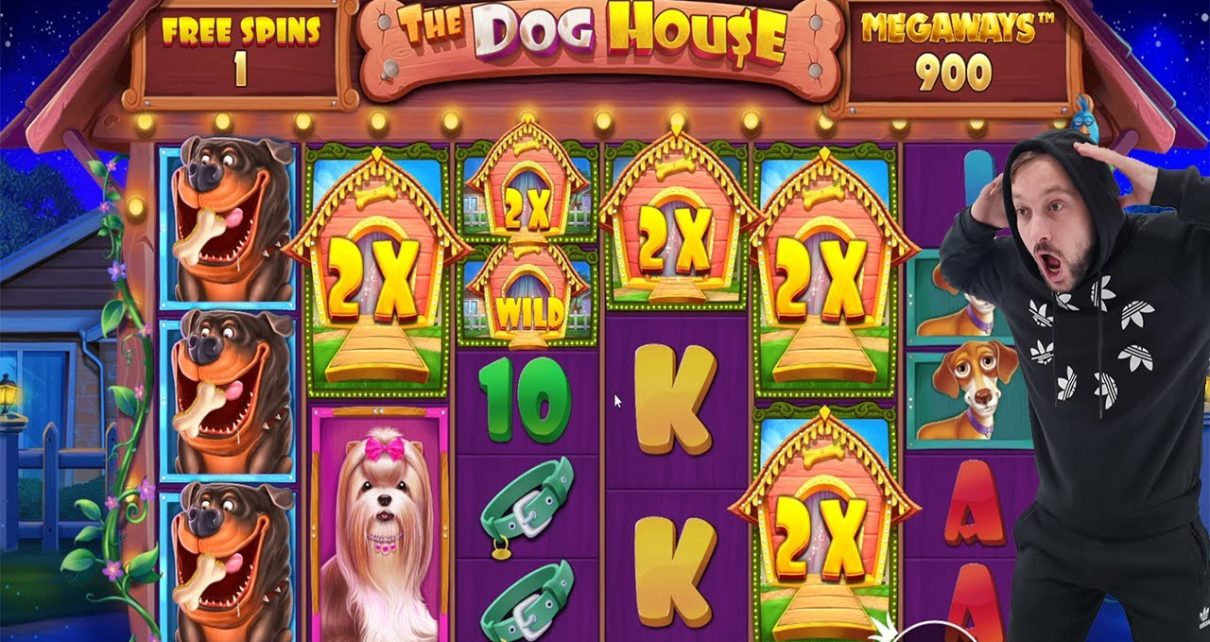 THE DOG HOUSE MEGAWAYS – BIG WINS CASINO – MANY ROTI on My concealment – CASINO SLOT ONLINE