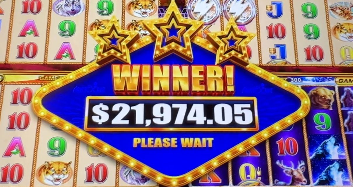 ABSOLUTELY MASSIVE JACKPOT!!! OVER 000 DREAM WIN ON WONDER 4 BUFFALO GOLD!!!